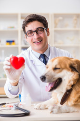 Similar image 20102994