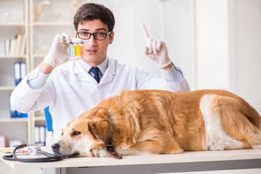 Similar image 20102995