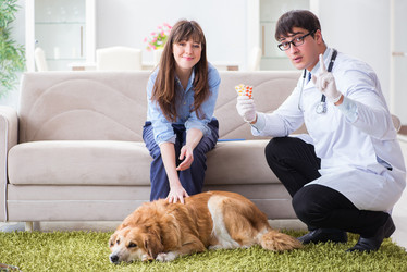 Similar image 20102997