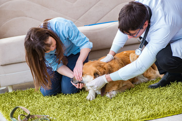 Similar image 20102999