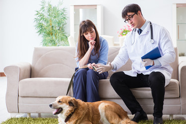 Similar image 20103005