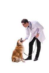 Similar image 20103007