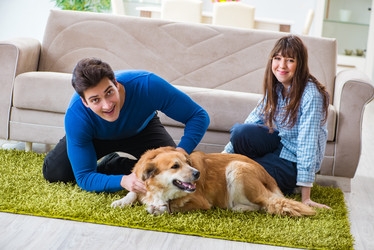 Similar image 20103032