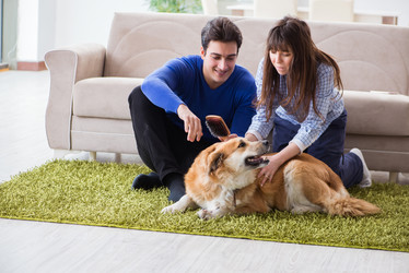 Similar image 20103036