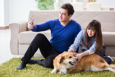 Similar image 20103038