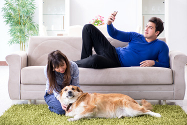 Similar image 20103043