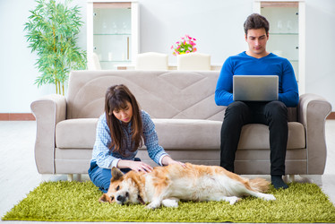 Similar image 20103044