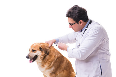 Similar image 20103048