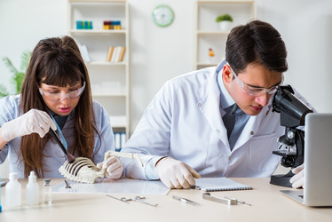 Similar image 20103144