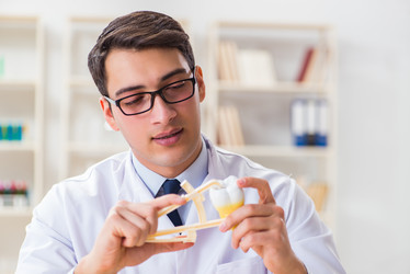 Similar image 20103301