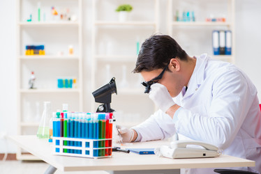 Similar image 20103334