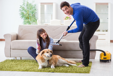 Similar image 20103356