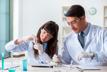 Similar image 20103359