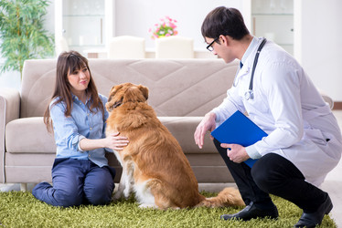 Similar image 20103377