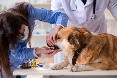 Similar image 20103394