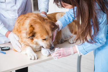 Similar image 20103400