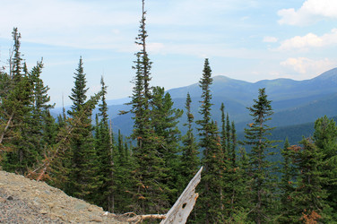 Similar image 20083046