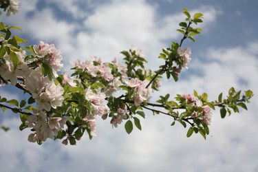 Similar image 20058189