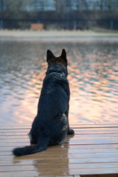 Similar image 20058191