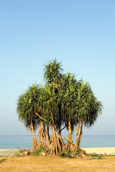 Similar image 20114396