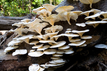 Similar image 20114398