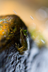 Similar image 20114401