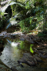 Similar image 20114402