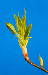 Similar image 20114404