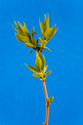 Similar image 20114406