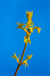 Similar image 20114407