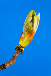 Similar image 20114409