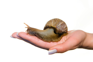 Similar image 20114419