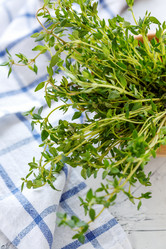 Similar image 19946656