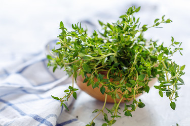 Similar image 19946657