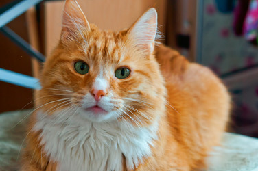 Similar image 20158089