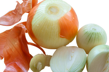 Similar image 20192246