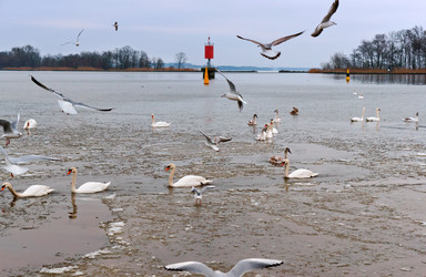 Similar image 20105678