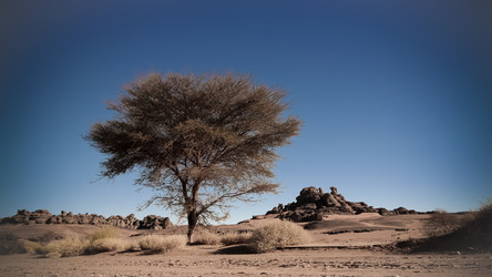 Similar image 20157902