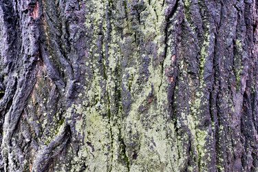 Similar image 20076343