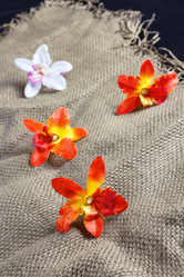 Similar image 20058111