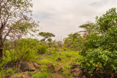 Similar image 20121346