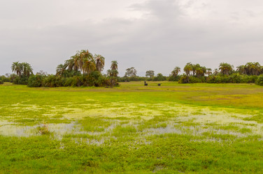 Similar image 20121351