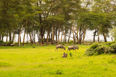 Similar image 20121357