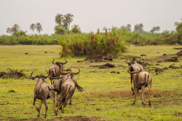 Similar image 20121364