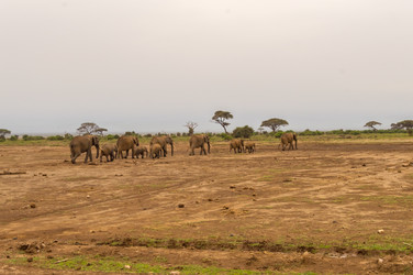 Similar image 20121373