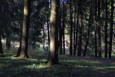 Similar image 20106500