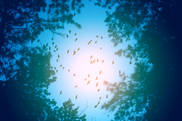 Similar image 20160969