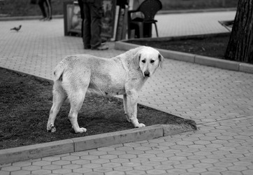 Similar image 20160973