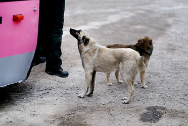 Similar image 20160974