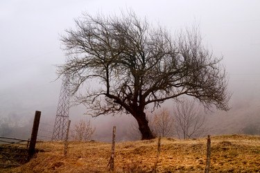 Similar image 20160975